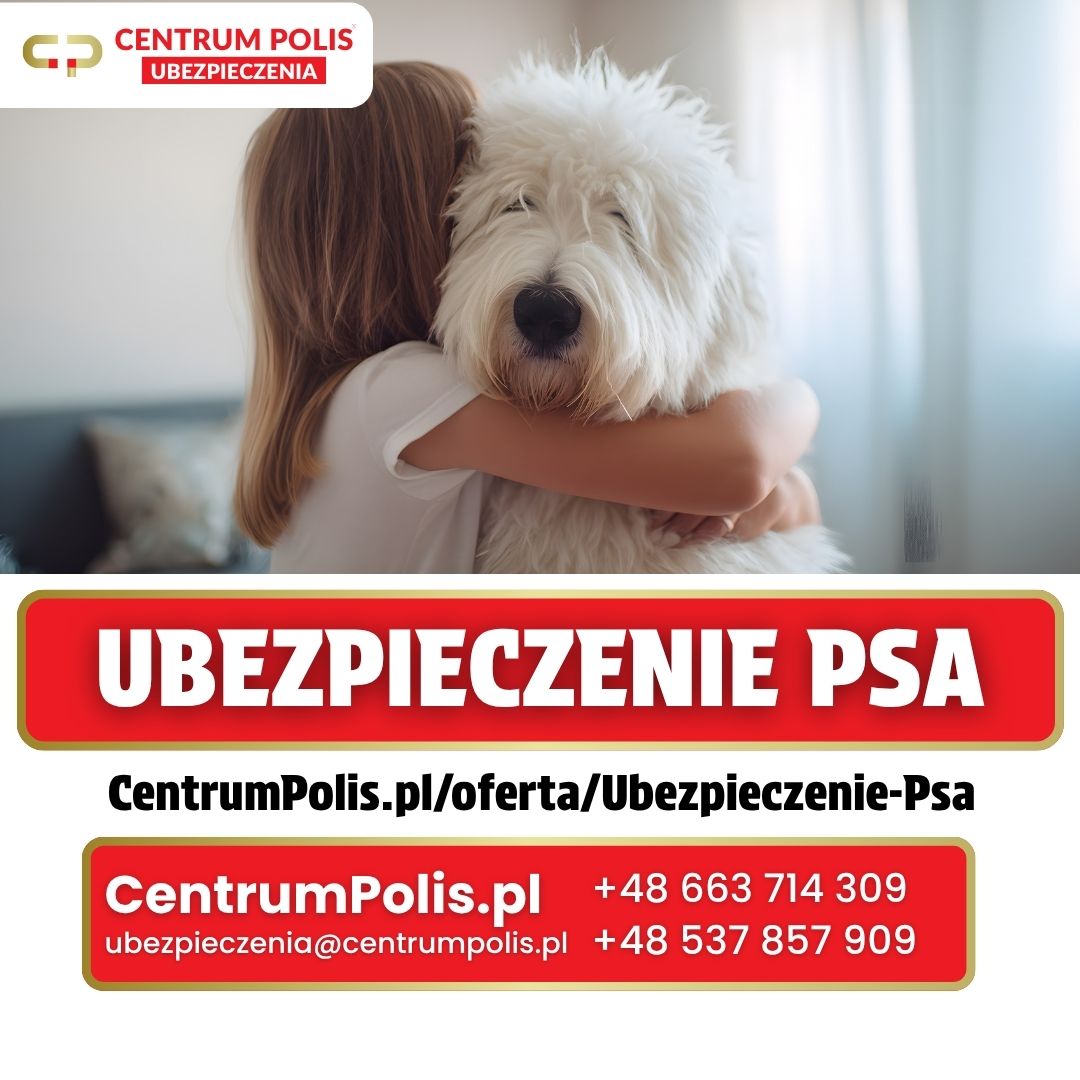 Ubezpieczenie psa w Centrum Polis
