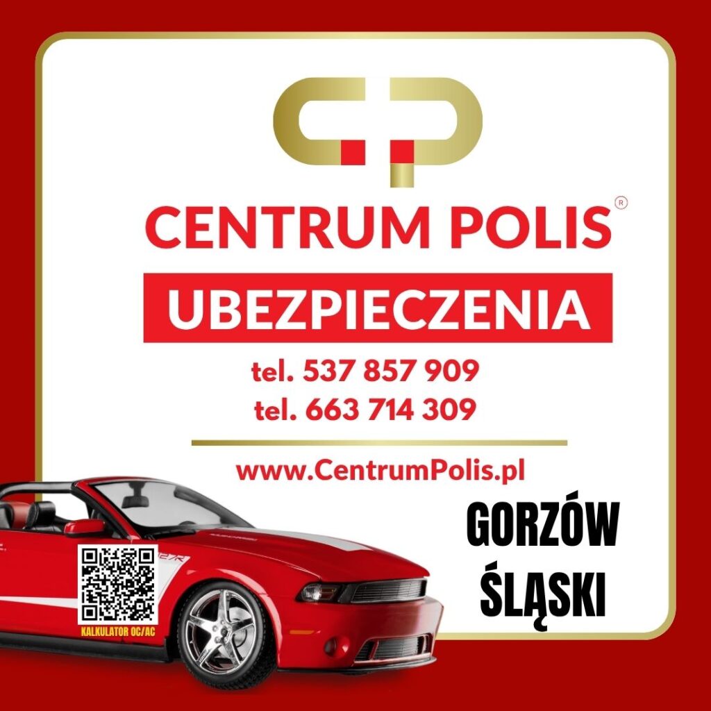 Ubezpieczenia Gorzów Śląski - nowoczesna ochrona dla rodziny, firmy i codziennego bezpieczeństwa 9 Ubezpieczenia-Gorzów Śląski