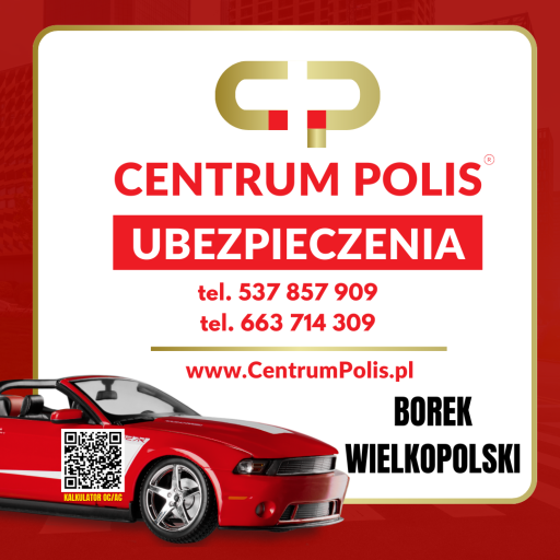 Ubezpieczenia-Borek Wielkopolski